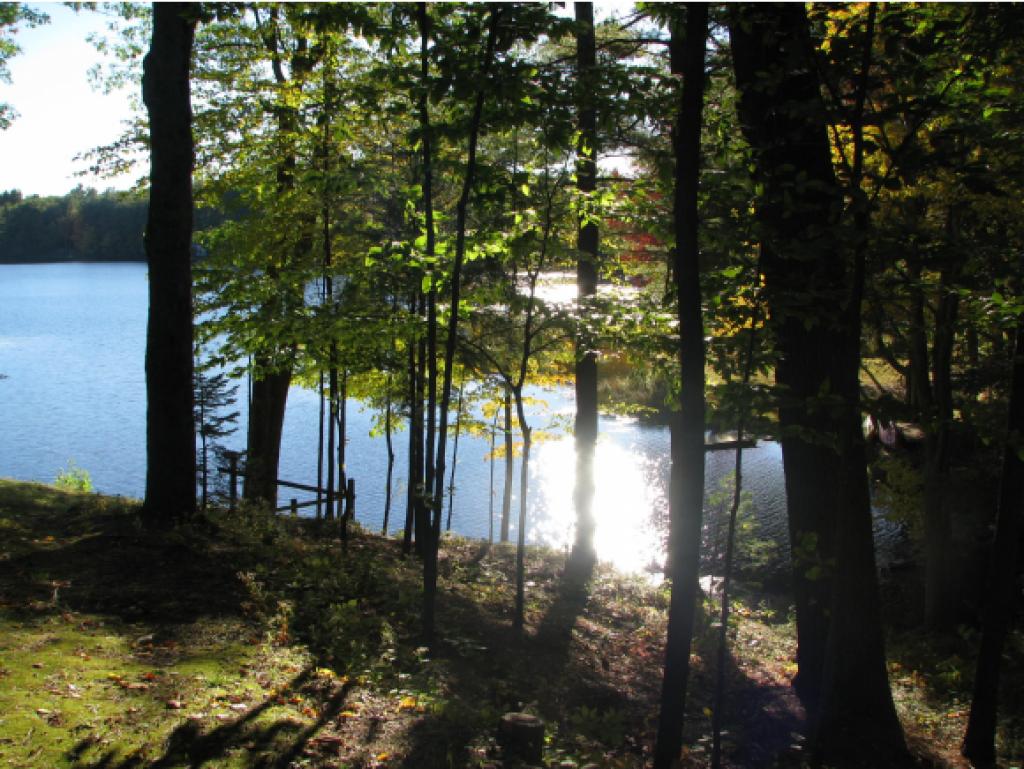 303 Greenfield Road Bennington, NH 03442 - Photo 15 of 15