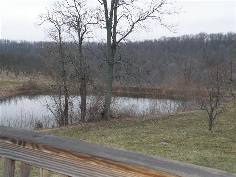 14507 Stephenson Road Morning View, KY 41063 - Photo 5 of 23