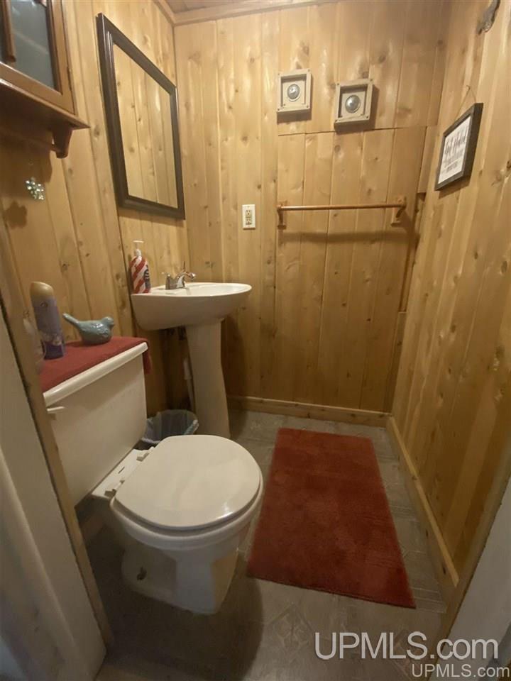 373 Town Hall Road Skandia, MI 49885 - Photo 19 of 47