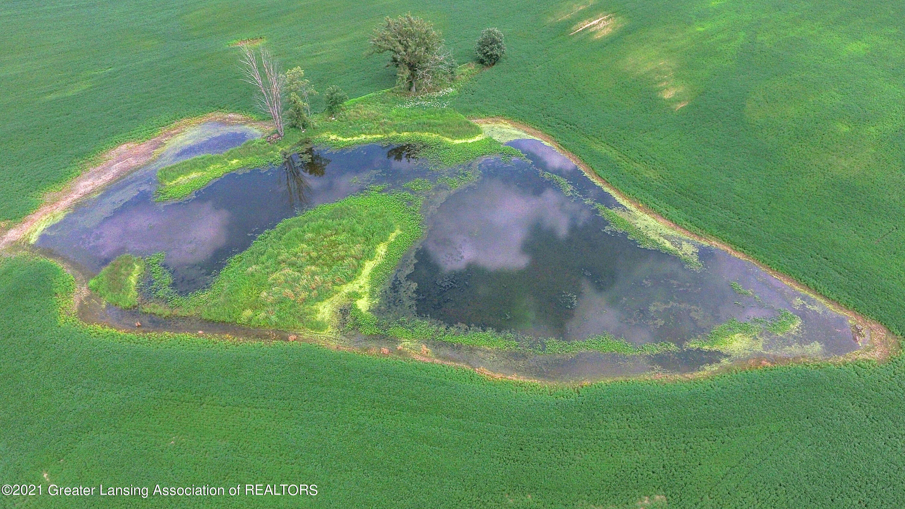 850 Waldo Road Williamston, MI 48895 - Photo 20 of 43 DJI_0442