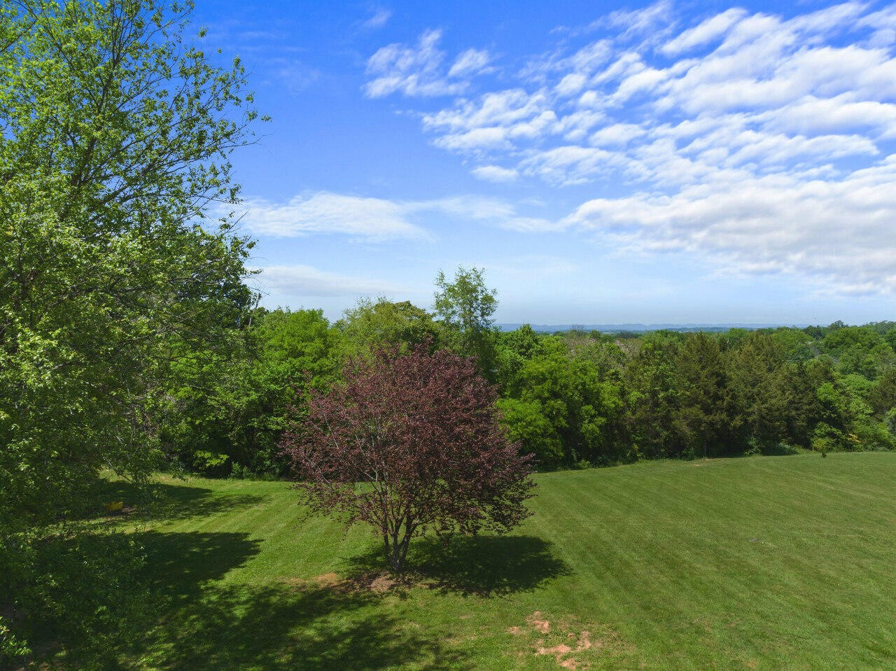 904 Coile Road Jefferson City, TN 37760 - Photo 52 of 60 Gallery Image 52