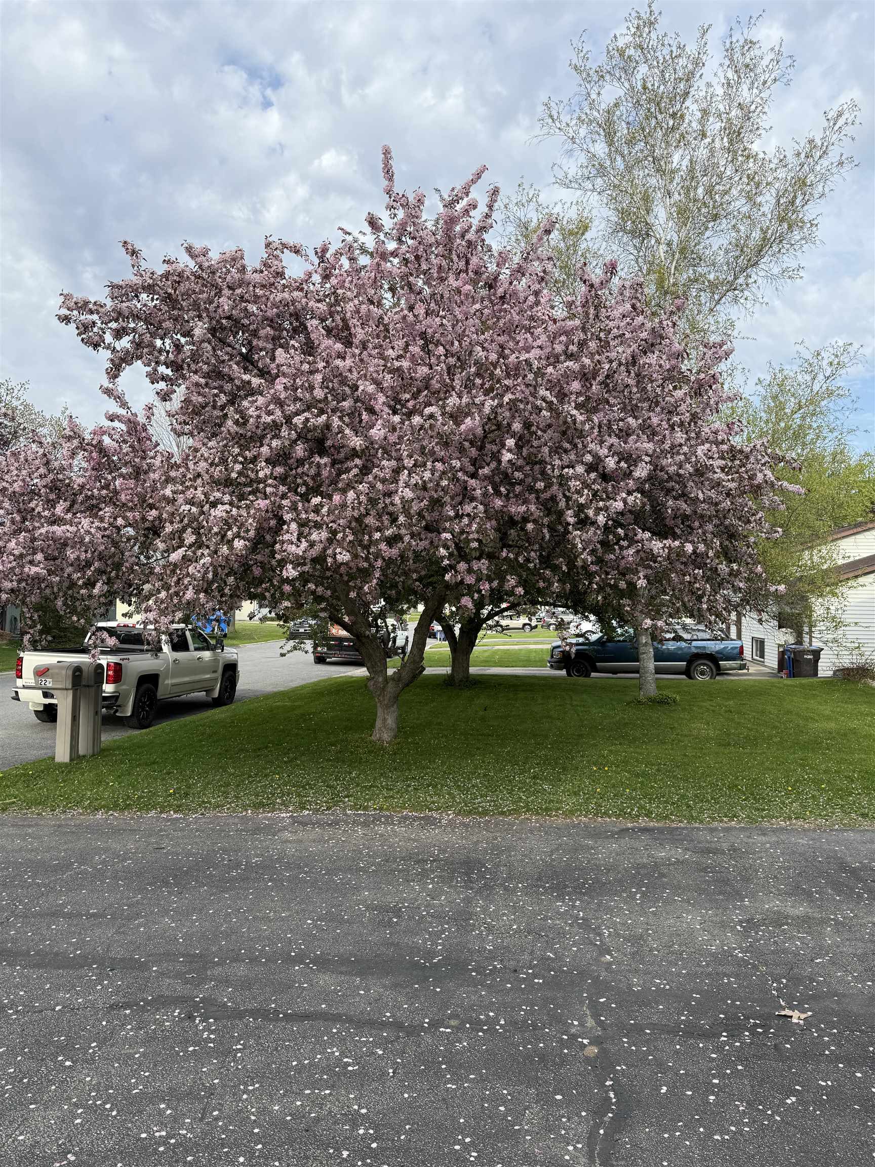 220-222 Lincoln Street Brooklyn, WI 53521 - Photo 49 of 49