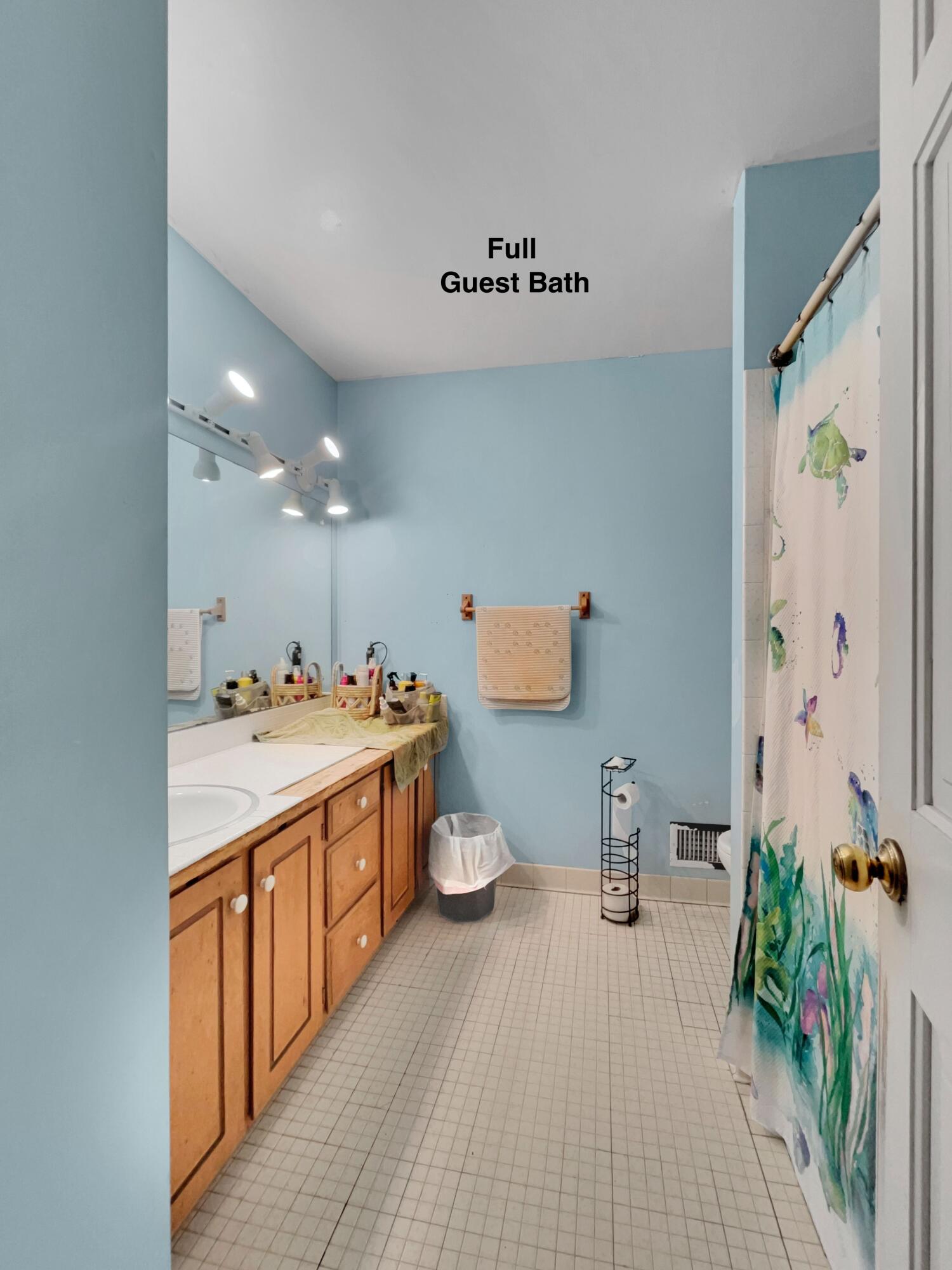 1095 Devenish Lane Flint, MI 48532 - Photo 26 of 31 25 guest bath 1