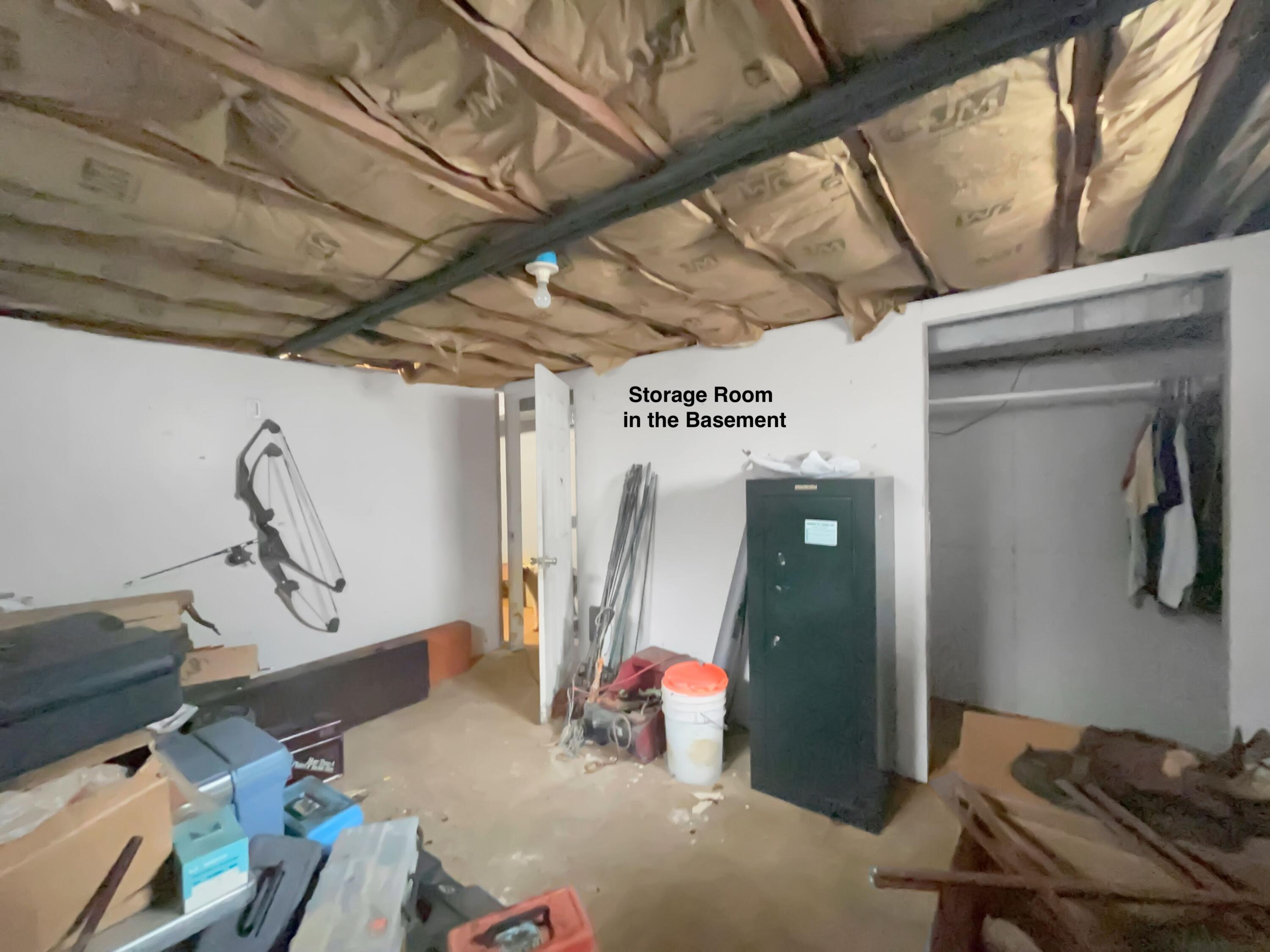 1095 Devenish Lane Flint, MI 48532 - Photo 29 of 31 28 basement storage room w closet