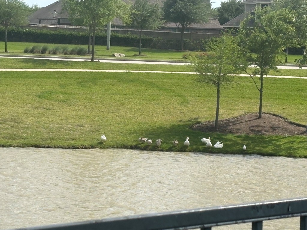 5139 Spring Terrace Lane Rosharon, TX 77583 - Photo 5 of 5 a view of a lake