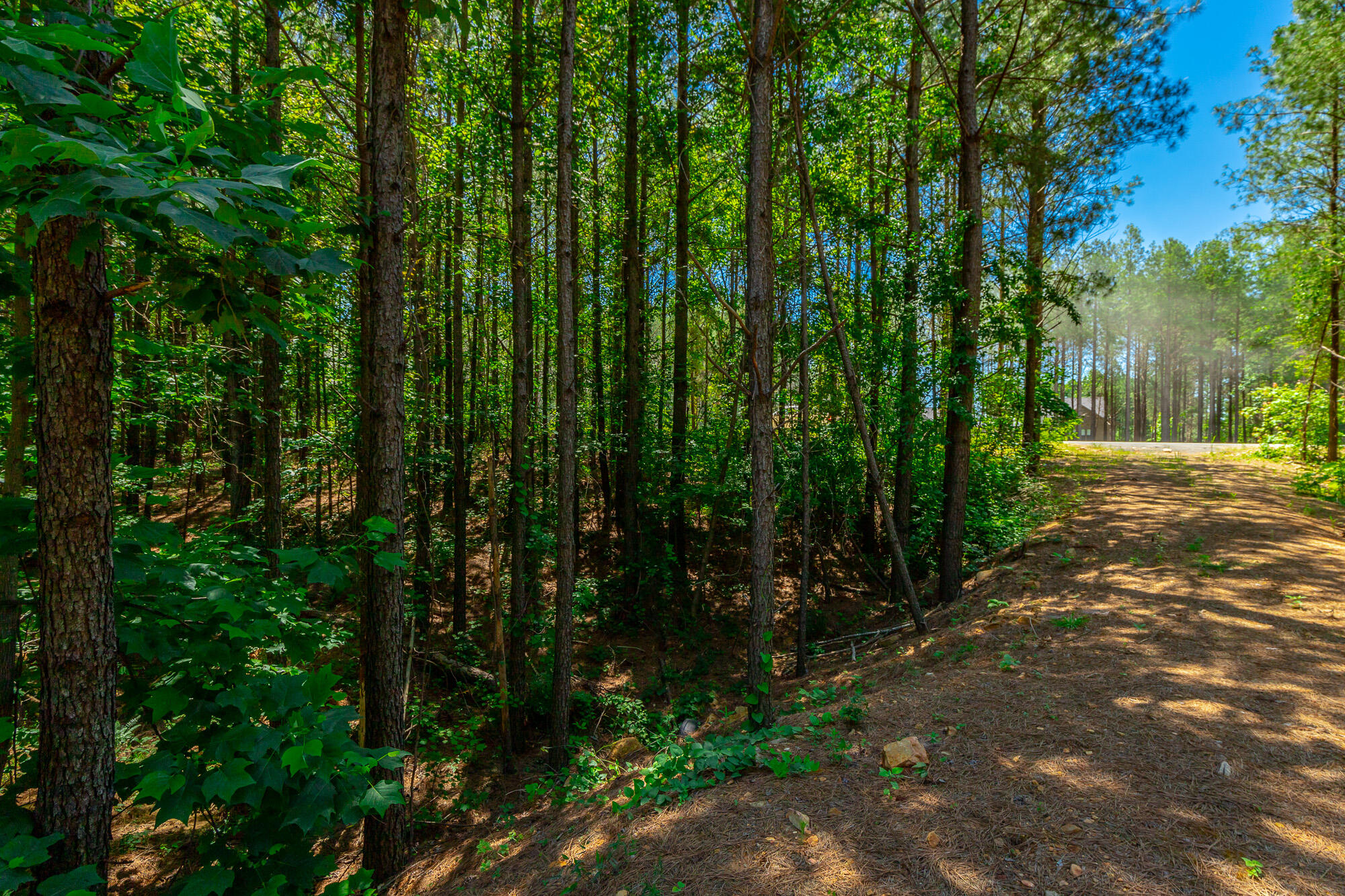 0 Split Rail Way, Unit LOT 1163 Guild, TN 37340 - Photo 14 of 118 River Gorge Lot 1163 HD-27