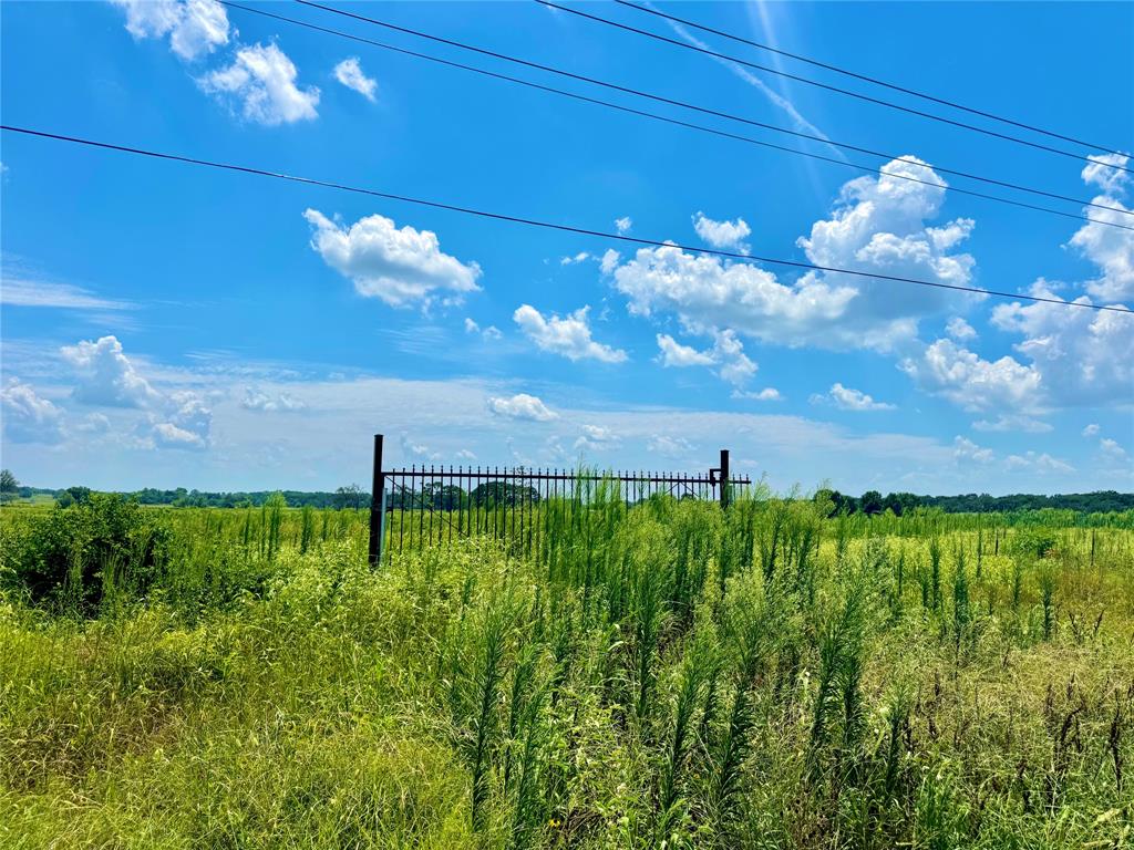 24 County Road Saltillo, TX 75478 - Photo 2 of 6 a view of a yard with a house