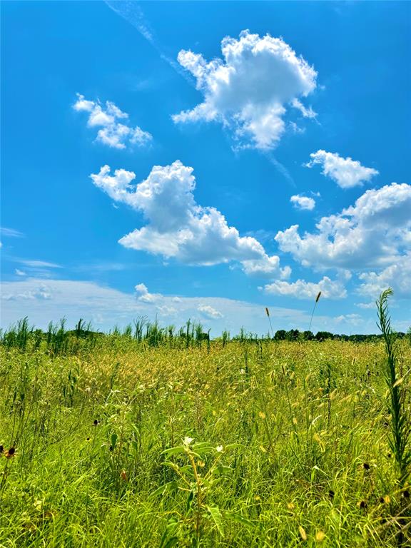 24 County Road Saltillo, TX 75478 - Photo 5 of 6 a view of a lake