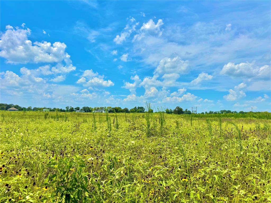 24 County Road Saltillo, TX 75478 - Photo 6 of 6 a view of an ocean
