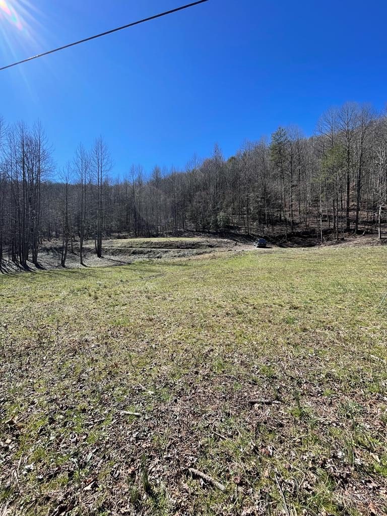 891 Bushy Head Road Cherry Log, GA 30522 - Photo 20 of 24