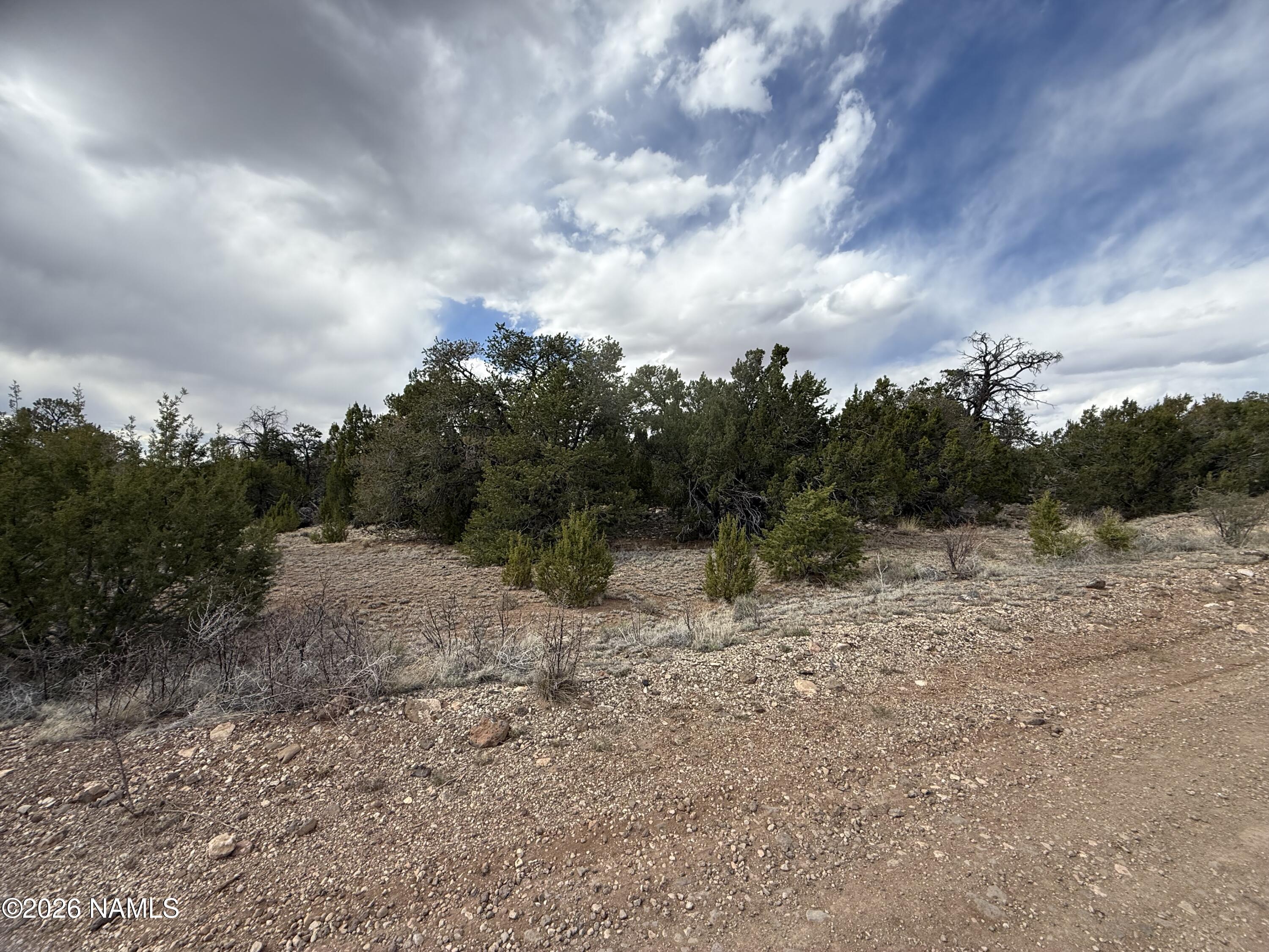 12581 North Chino Road Williams, AZ 86046 - Photo 7 of 15 IMG_5254