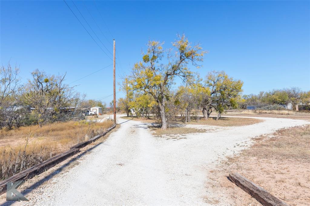 576 McCartney Lane Tye, TX 79563 - Photo 4 of 38 a view of a yard with large trees