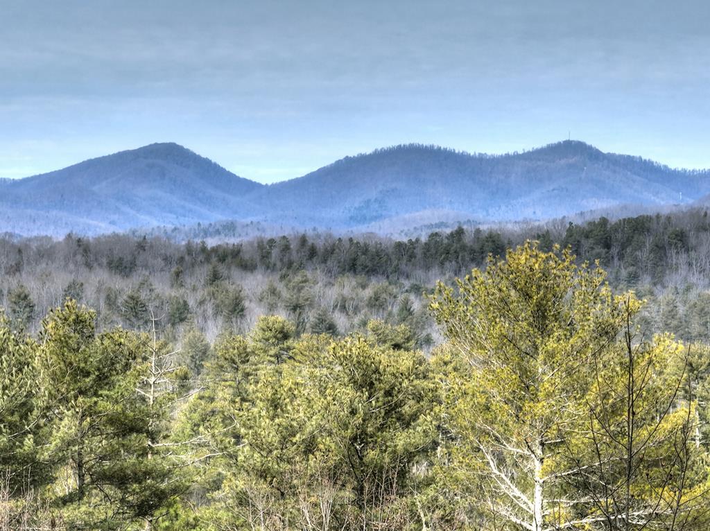 71 Rising Fawn Drive Mineral Bluff, GA 30559 - Photo 3 of 66 a view of a lush green hillside and a houses