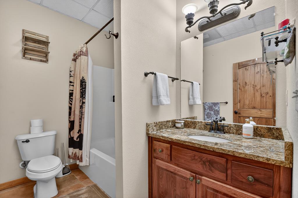 71 Rising Fawn Drive Mineral Bluff, GA 30559 - Photo 39 of 66 a bathroom with a granite countertop sink toilet and shower