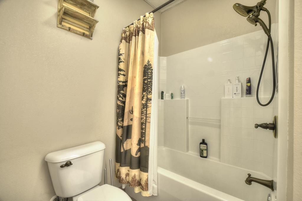 71 Rising Fawn Drive Mineral Bluff, GA 30559 - Photo 40 of 66 a bathroom with a toilet and a shower