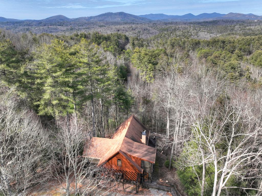 71 Rising Fawn Drive Mineral Bluff, GA 30559 - Photo 4 of 66 a view of a lush green field with mountains in the background