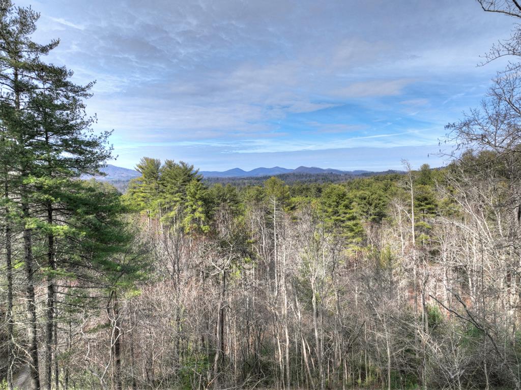 71 Rising Fawn Drive Mineral Bluff, GA 30559 - Photo 48 of 66 a view of a yard with a tree