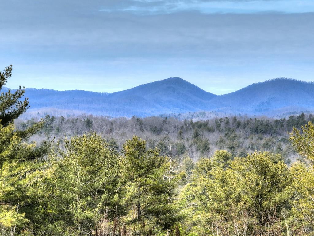 71 Rising Fawn Drive Mineral Bluff, GA 30559 - Photo 50 of 66 a view of a forest with mountains in the background