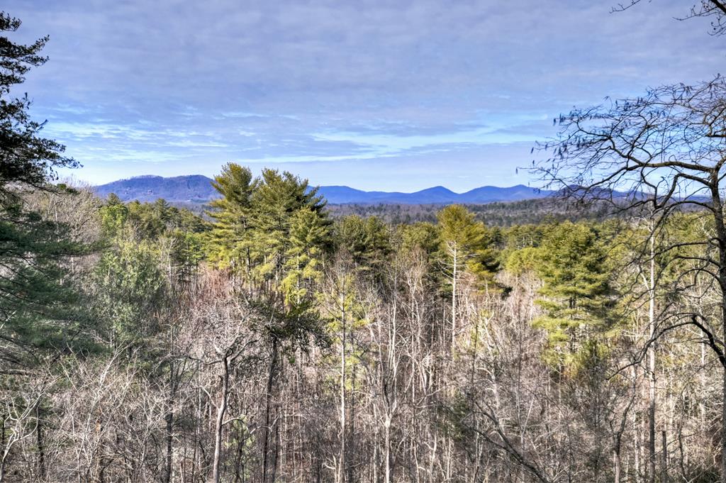 71 Rising Fawn Drive Mineral Bluff, GA 30559 - Photo 51 of 66