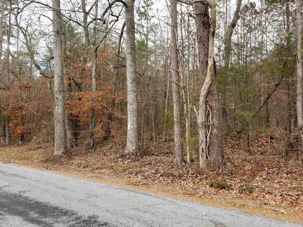 0 County Road 187 Decatur, TN 37322 - Photo 14 of 35 Gallery Image 14