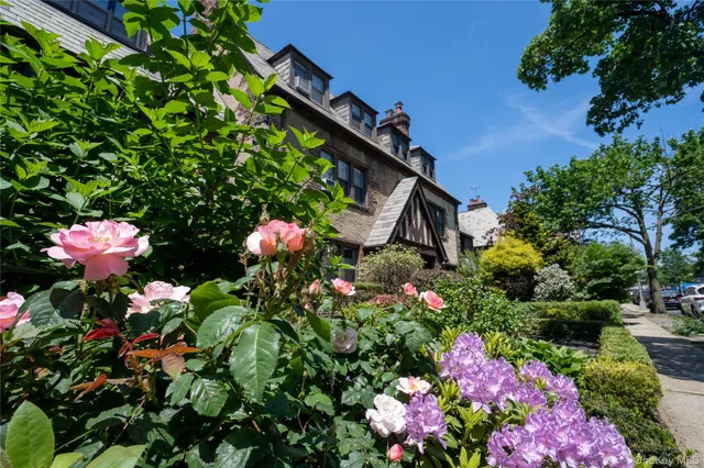 a view of a flower in a garden