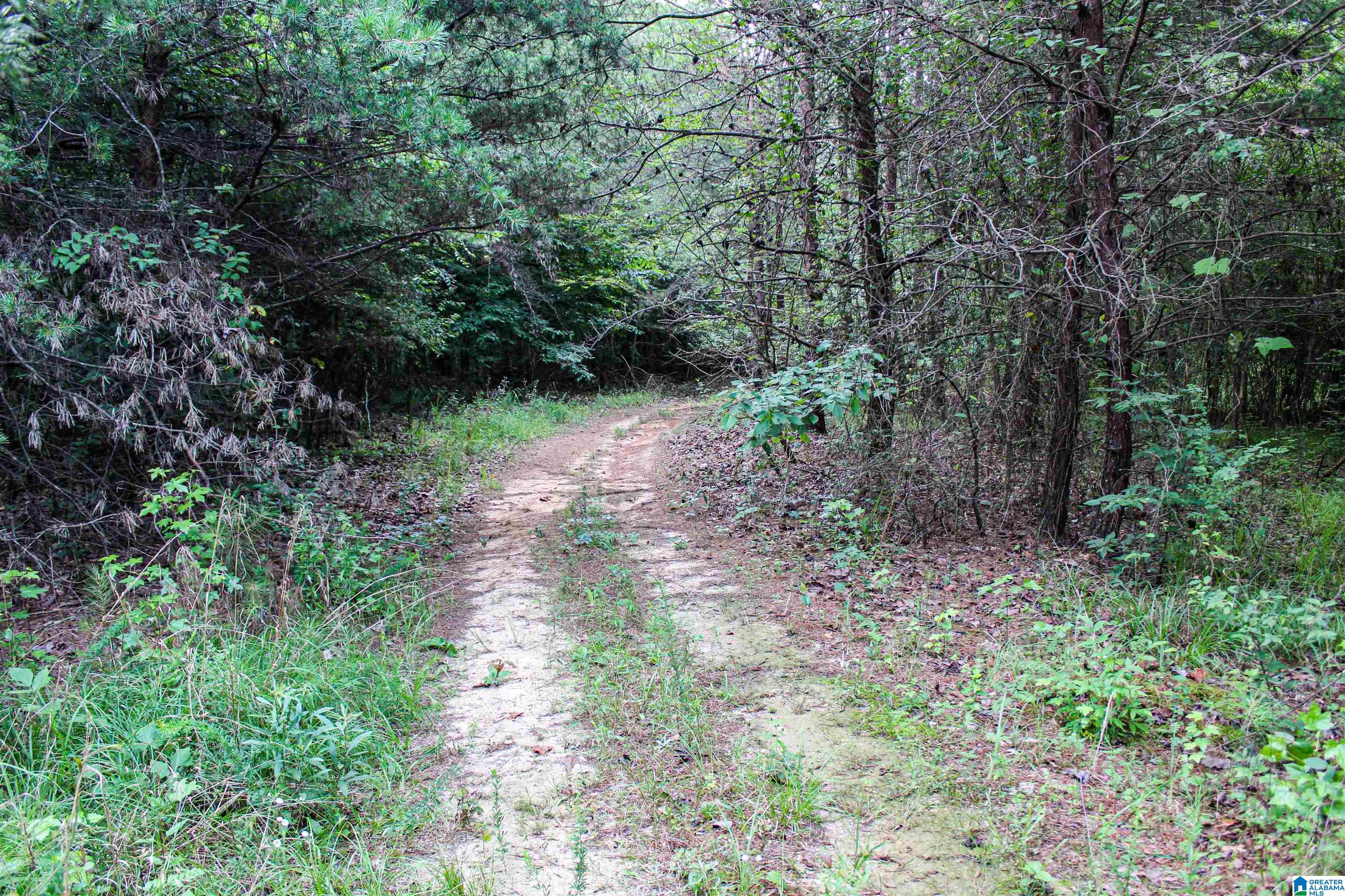 2211 Gurley Road, Unit 1 Trafford, AL 35172 - Photo 30 of 39