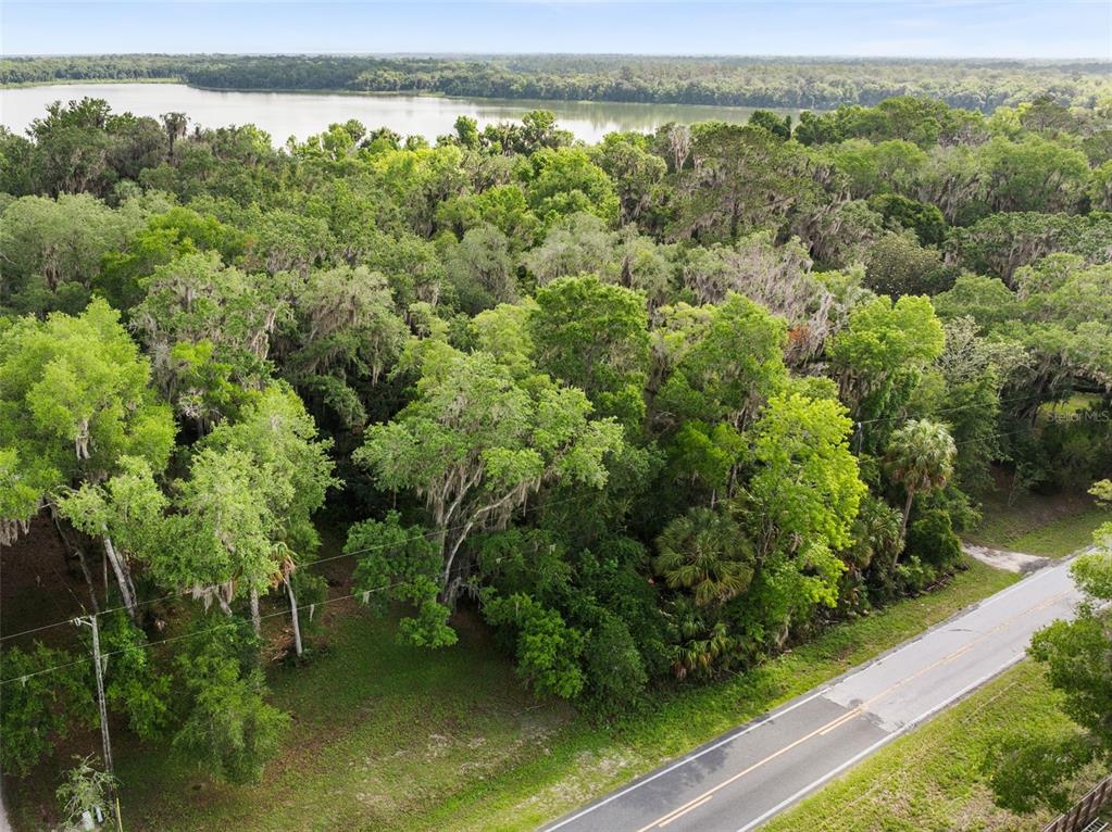 Tbd Southeast Wacahoota Road Micanopy, FL 32667 - Photo 4 of 13 a view of a garden with a lake