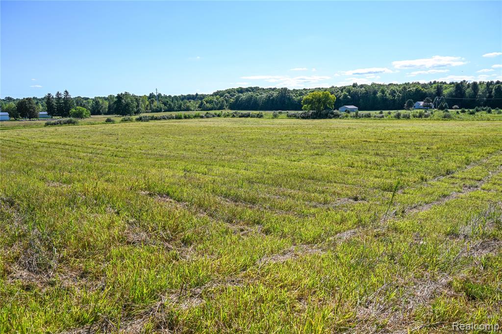 0 Wagner Road Imlay City, MI 48444 - Photo 29 of 43