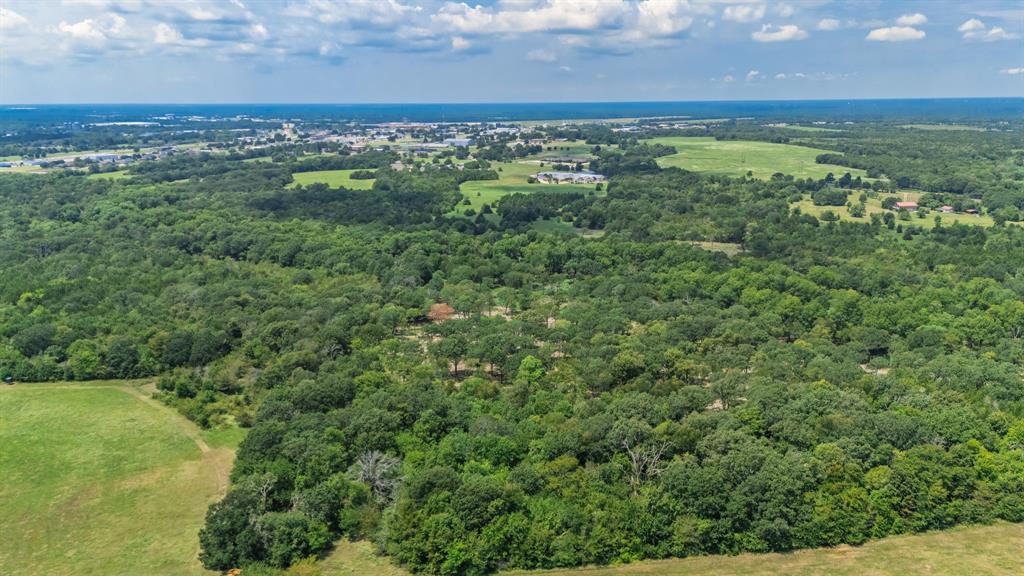 83-ac Stillhouse Road Paris, TX 75462 - Photo 12 of 22 a view of a city with lush green forest