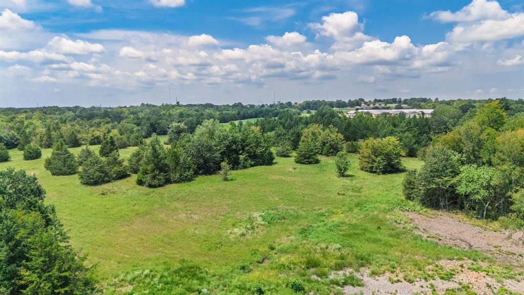 83-ac Stillhouse Road Paris, TX 75462 - Photo 16 of 22 a view of a big yard with plants and a garden