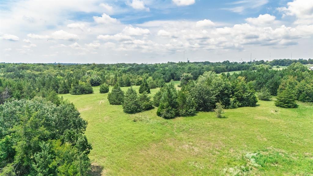 83-ac Stillhouse Road Paris, TX 75462 - Photo 17 of 22 a view of a garden with a building in the background