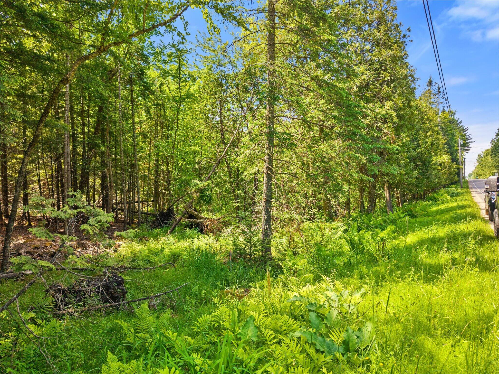 0 Stetson Road East Levant, ME 04456 - Photo 16 of 17 16-Stetson Rd E
