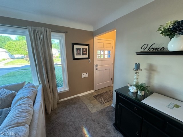 1559 Chelmsford Road Cleveland, OH 44124 - Photo 5 of 29 Foyer with a healthy amount of sunlight and dark carpet