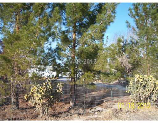 3820 West Dyer Road Pahrump, NV 89048 - Photo 8 of 10 Property Photo. Lots of Trees with a Duck Pond!