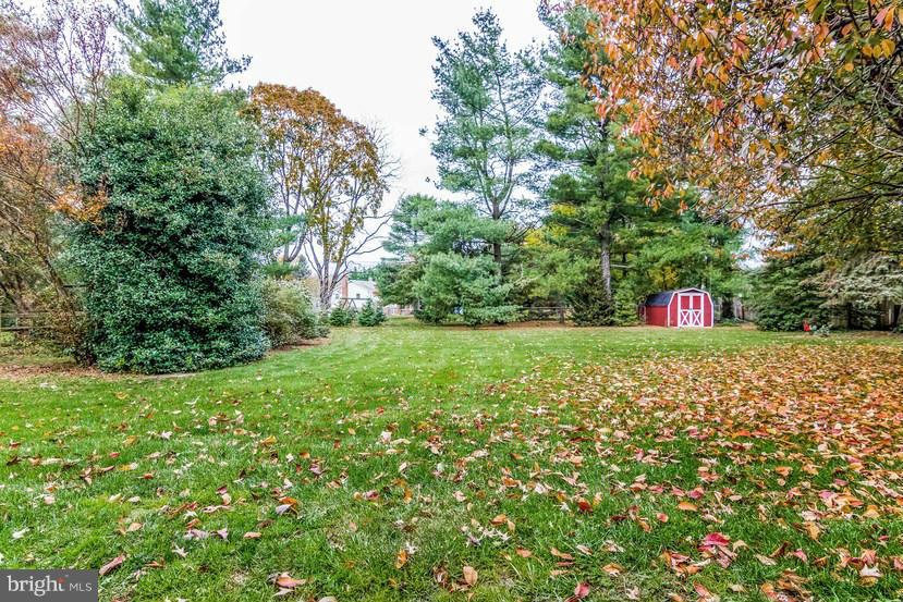 7904 Clearfield Road Frederick, MD 21702 - Photo 21 of 30 Looking to back of yard and shed