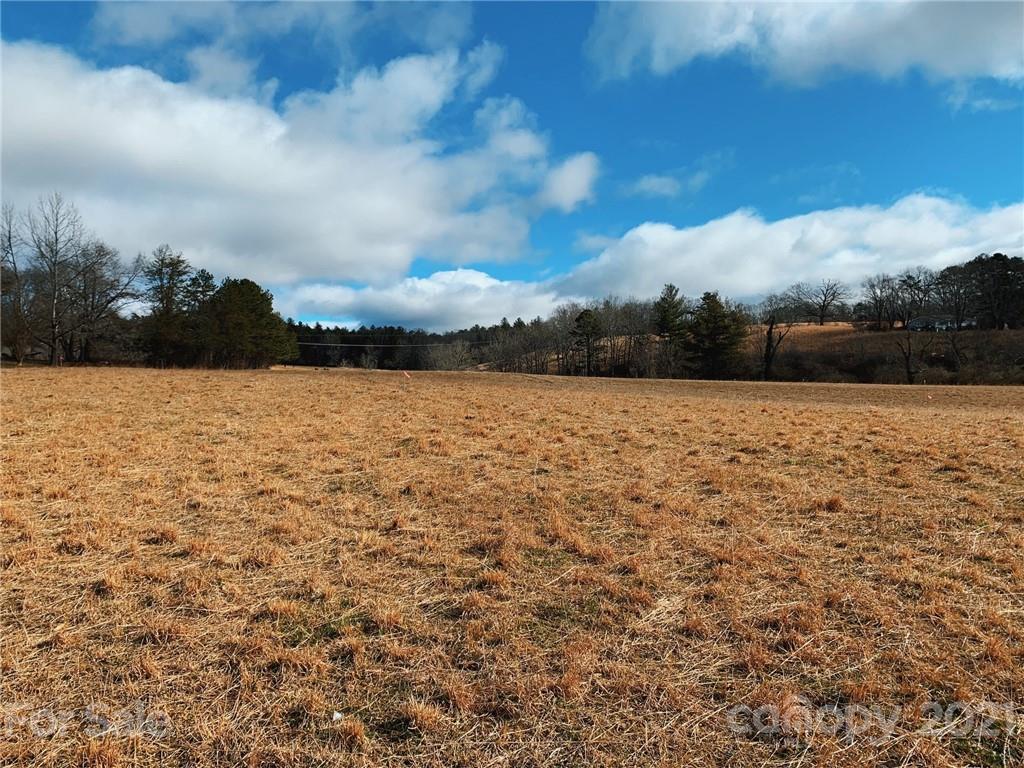 132 Gravely Branch Road Fletcher, NC 28732 - Photo 2 of 4 Gallery Image 2