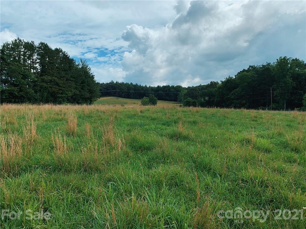 132 Gravely Branch Road Fletcher, NC 28732 - Photo 3 of 4 Gallery Image 3