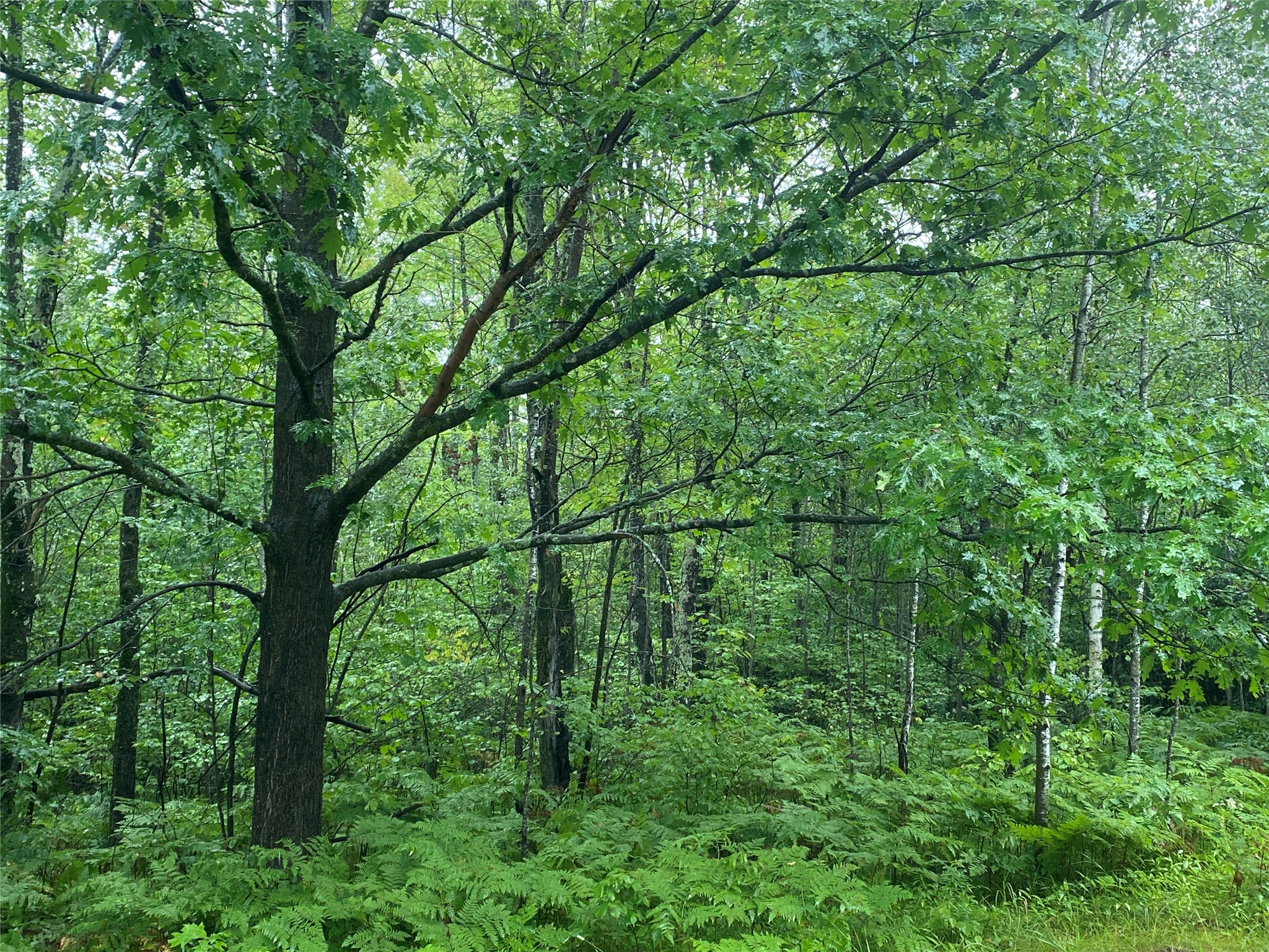 On Pennington Road Prentice, WI 54556 - Photo 6 of 7