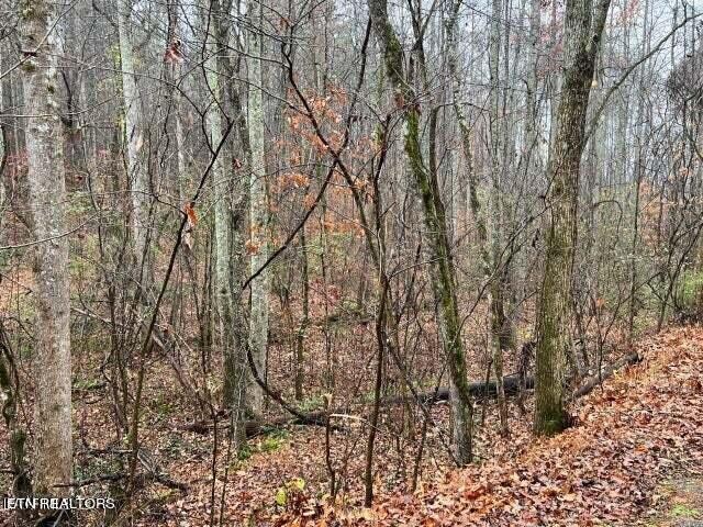 982 Butler Road Decatur, TN 37322 - Photo 4 of 4