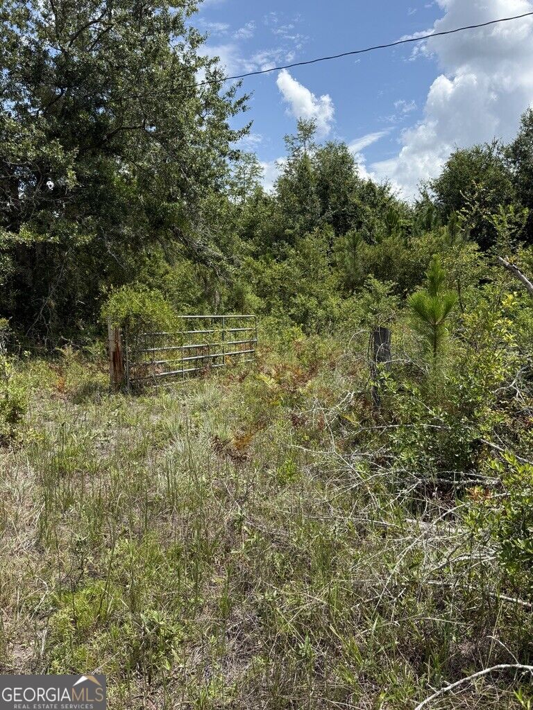 896 Farm Road St. George, GA 31562 - Photo 19 of 19 Gallery Image 19