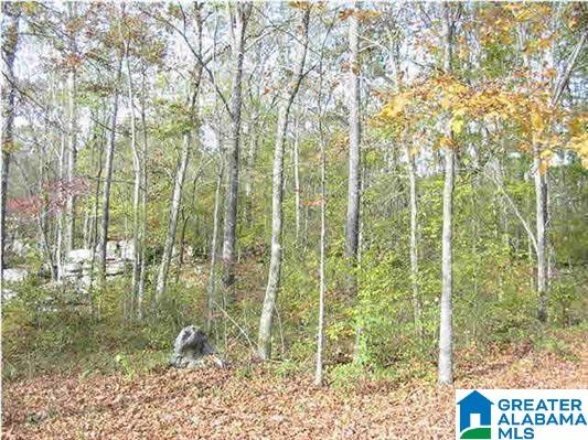 89 Randolph Road, Unit 96 Hayden, AL 35079 - Photo 1 of 12