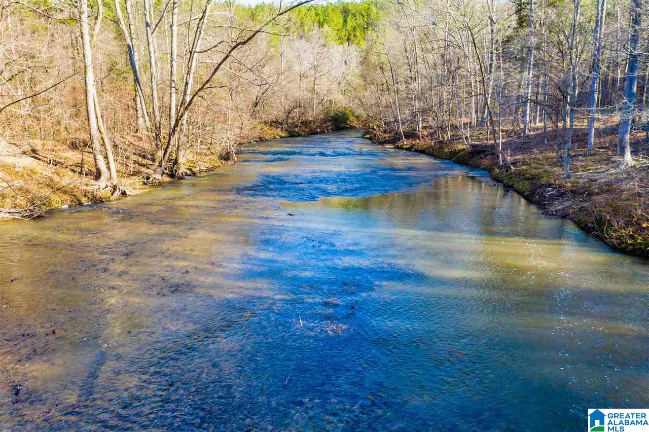 0 County Road 8, Unit 1 Clanton, AL 35045 - Photo 25 of 30