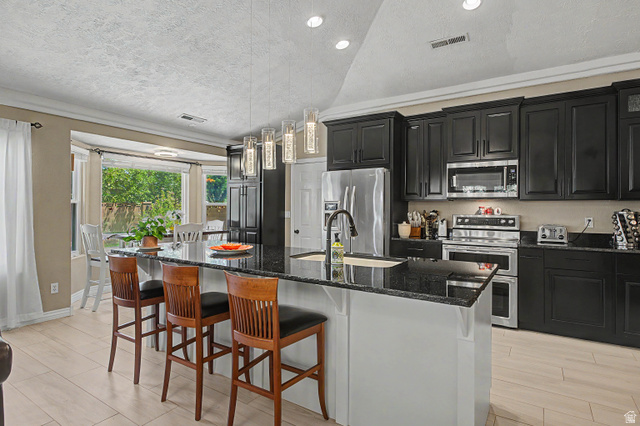 3034 Swiss Drive Santa Clara, UT 84765 - Photo 16 of 59 Spacious kitchen featuring an expansive center island with seating, dark cabinetry, stainless steel appliances, and light wood-finish flooring