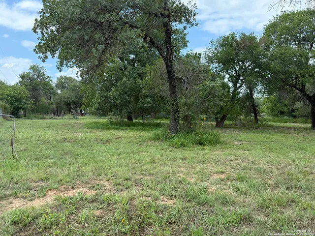 a big yard with lots of green space and deers