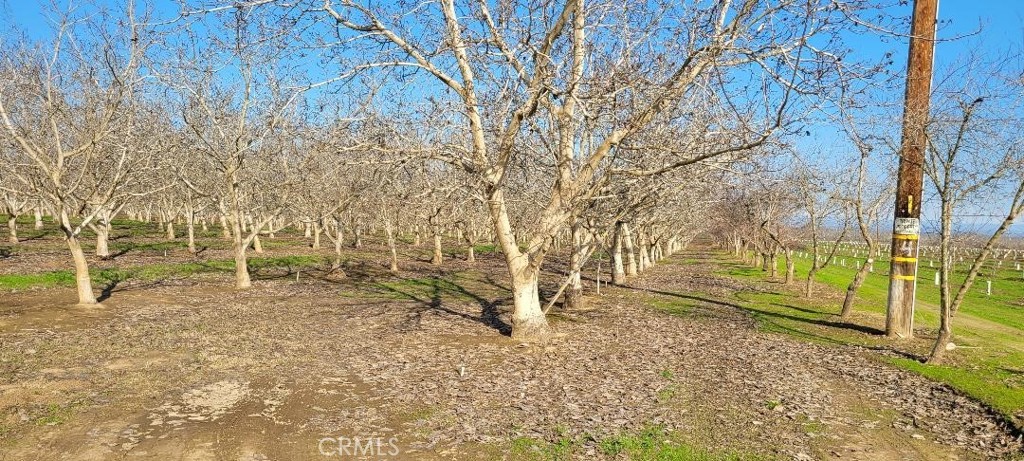 0 River Road Chico, CA 95973 - Photo 2 of 2