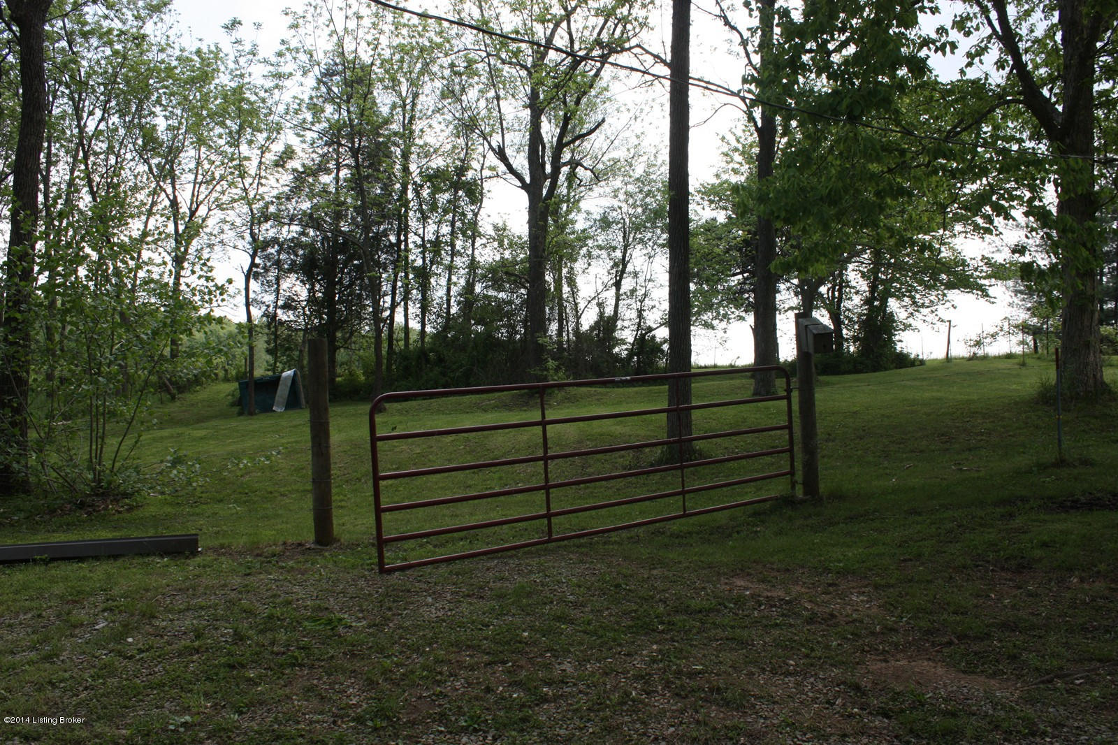 350 Milan Road Brandenburg, KY 40108 - Photo 8 of 31 IMG_0268