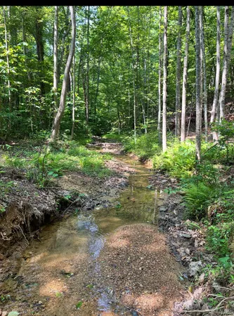 $250,000 | 0 Christian Mill Creek Road, Amherst, VA 24521