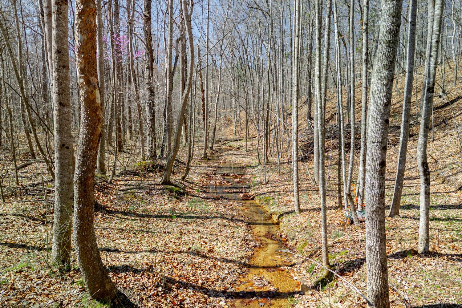 0 Christian Mill Creek Road Amherst, VA 24521 - Photo 11 of 27