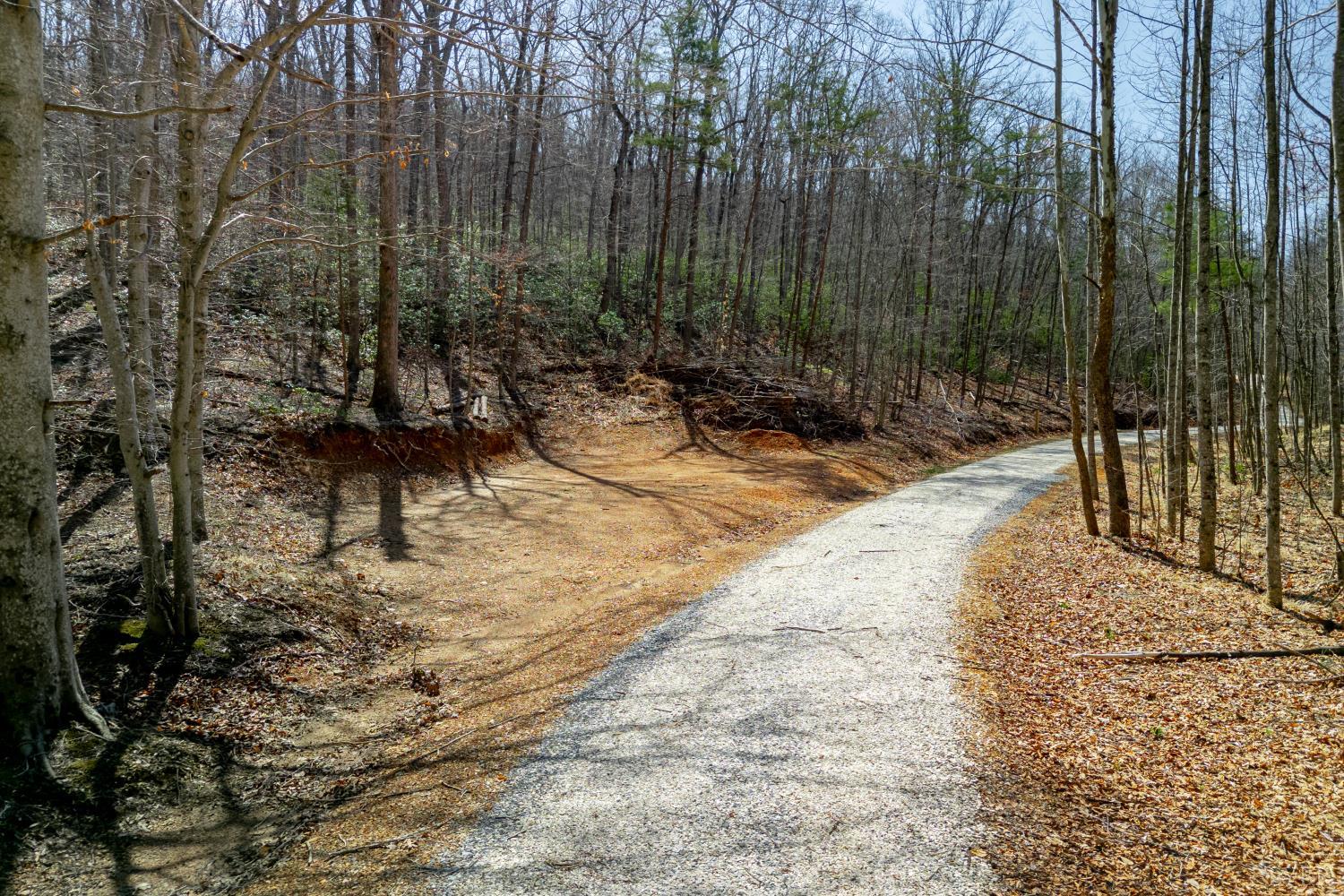 0 Christian Mill Creek Road Amherst, VA 24521 - Photo 12 of 27