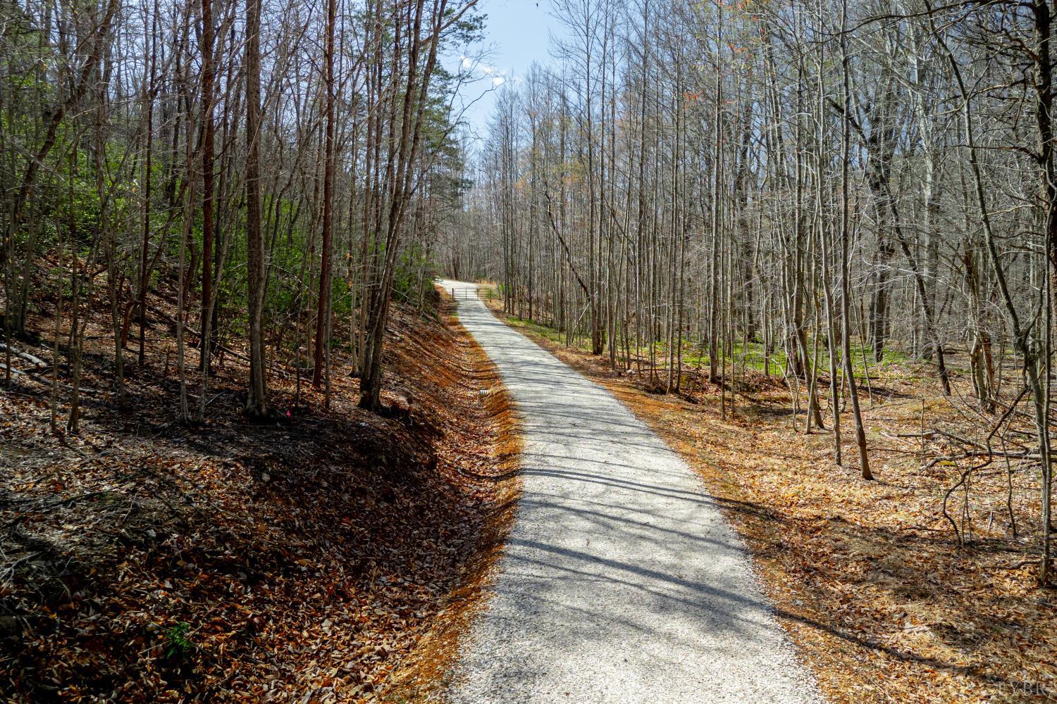 0 Christian Mill Creek Road Amherst, VA 24521 - Photo 13 of 27